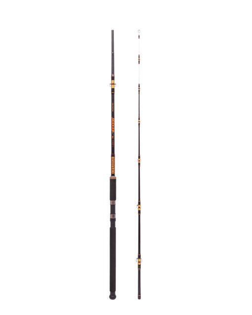 Czero Seeker Catfish 240 cm / 250-580 g - Image 2