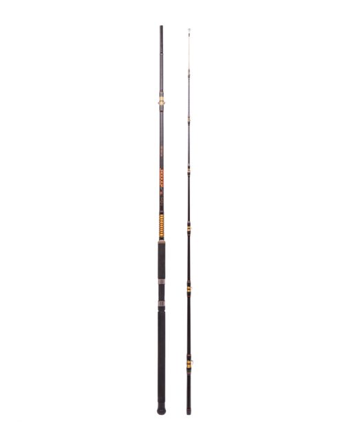 Czero Seeker Catfish 300 cm / 250-580 g - Image 2