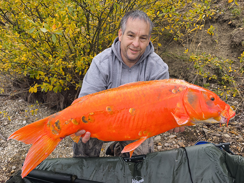 "Precíz behúzás" - Image 3