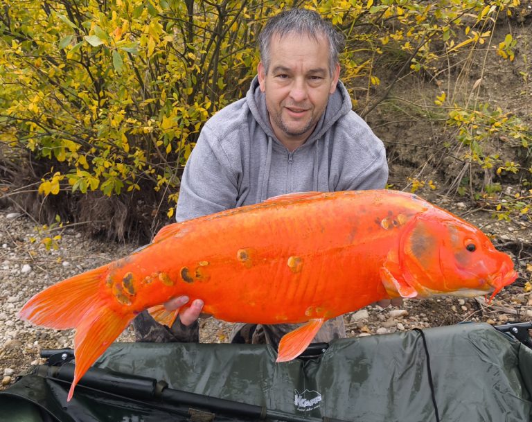 Születésnapi peca – Hejőkeresztúr, Carp & Carp 5-ös állás